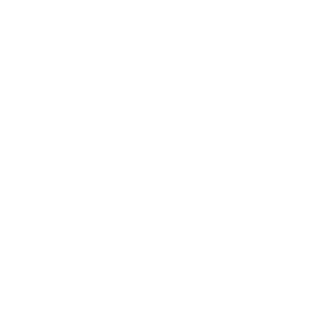 cv icon